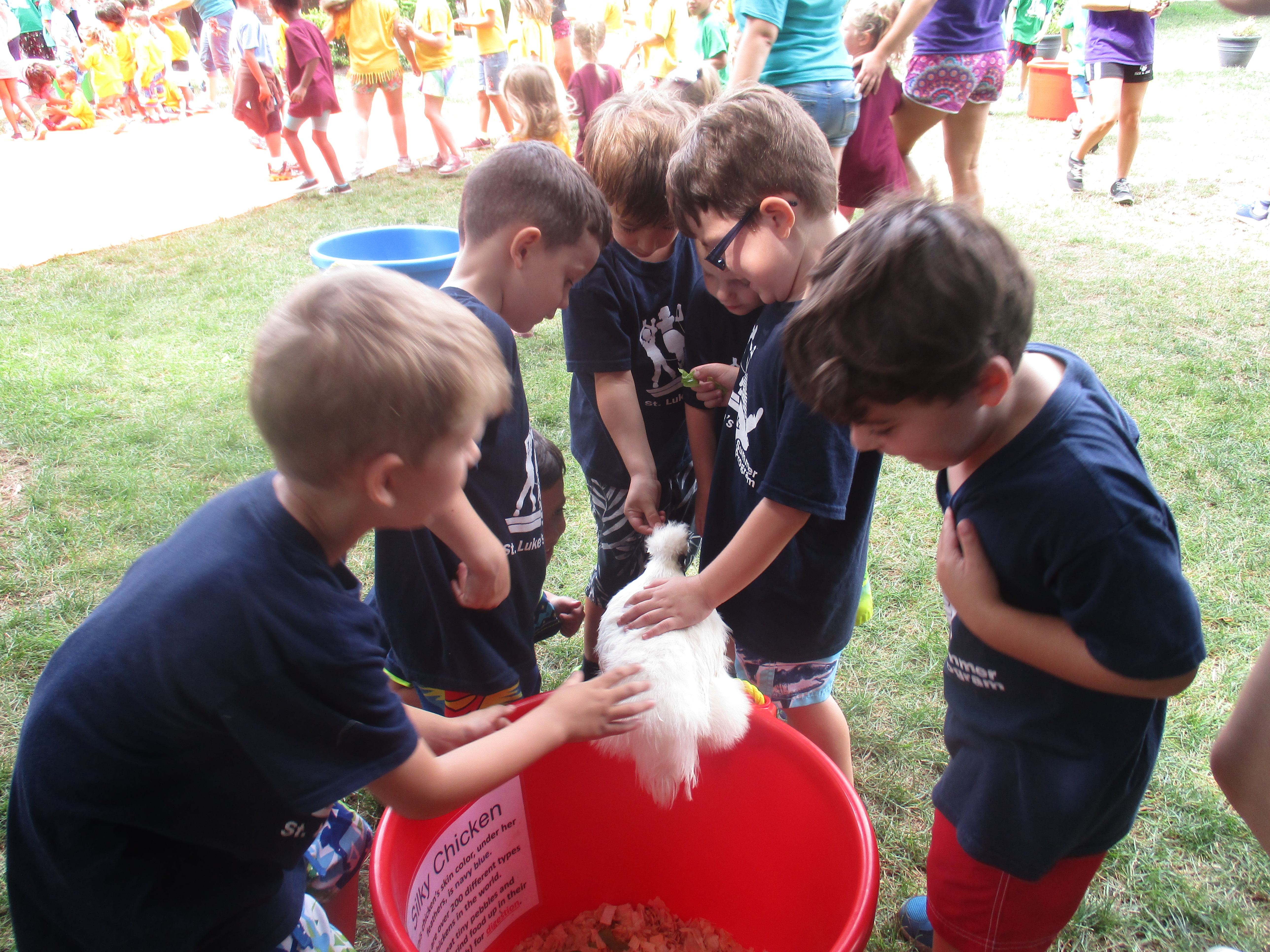 Summer Camp Www Stlukesfarmingdale Org
